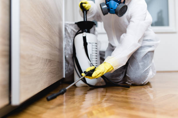 Best Wasp Removal Services  in Perry, LA