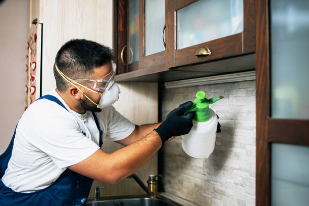 Best Wildlife Control Services  in Perry, LA