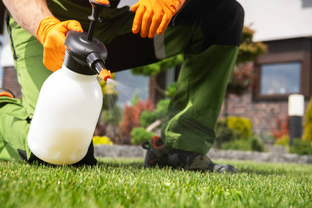 Best Cockroach Control Services  in Perry, LA