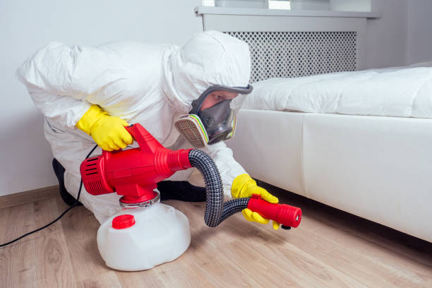 Best Insect Control  in Perry, LA