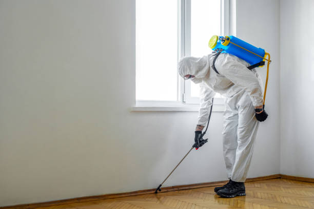 Wildlife Control Services in Perry, LA