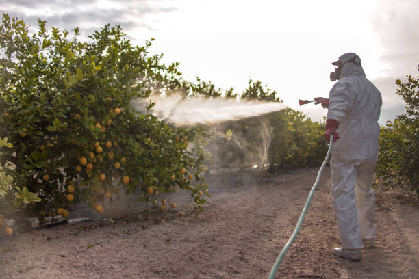 Best Cockroach Control Services  in Perry, LA