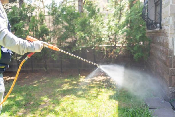 Best Best Pest Control Companies  in Perry, LA