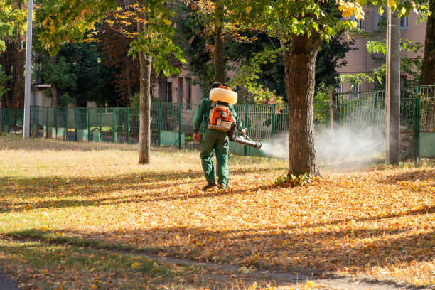 Pest Control for Restaurants in Perry, LA