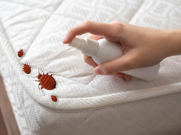 Best Pest Inspection Near Me  in Perry, LA
