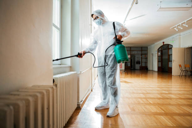 Best Termite Control Services  in Perry, LA