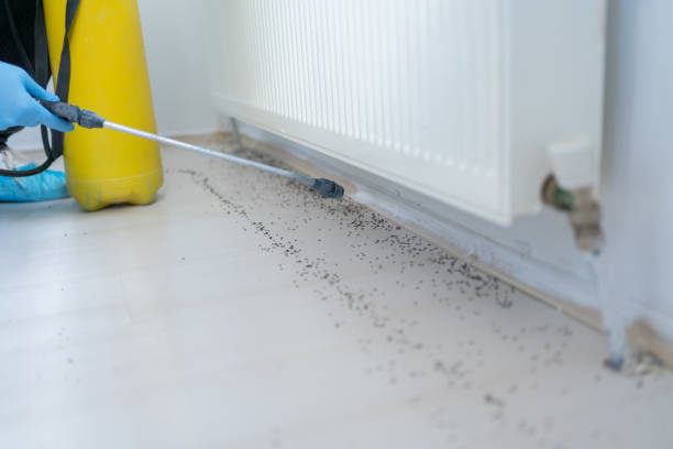 Best Commercial Pest Control Services  in Perry, LA