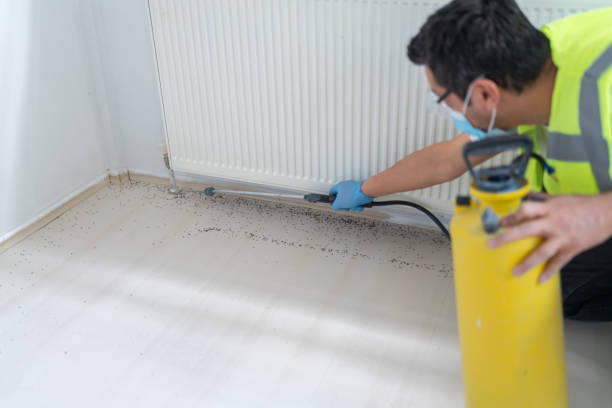 Best Pest Removal Services  in Perry, LA