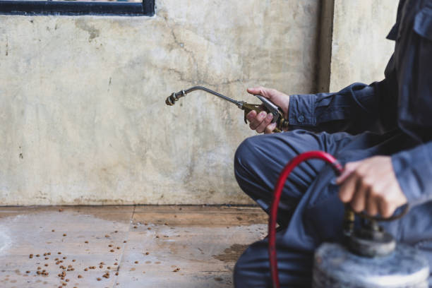Best Affordable Pest Control Services  in Perry, LA