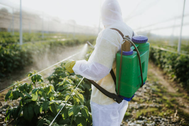 Best Pest Control Near Me  in Perry, LA